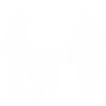 Rodzina podczas spaceru