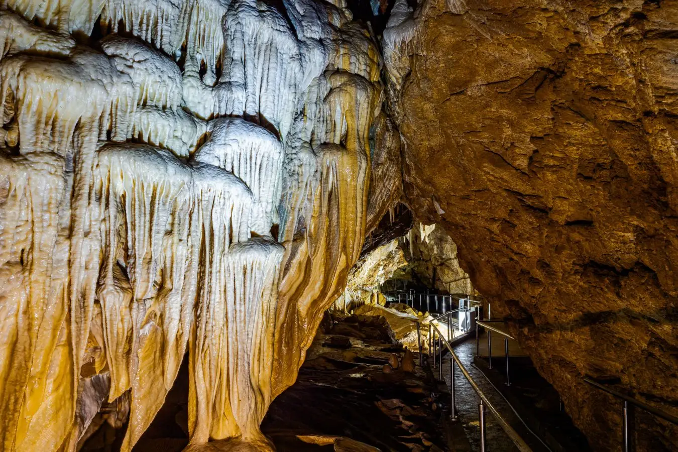 Jaskinia niedźwiedzia w Kletnie